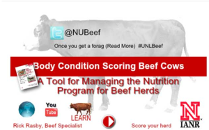 NUBeef-BCS (body condition scoring app) from UNL Extension 