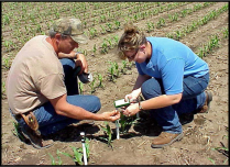 Brandy VanDeWalle, UNL Extension, shows a producer  how to read watermark sensors after installation.