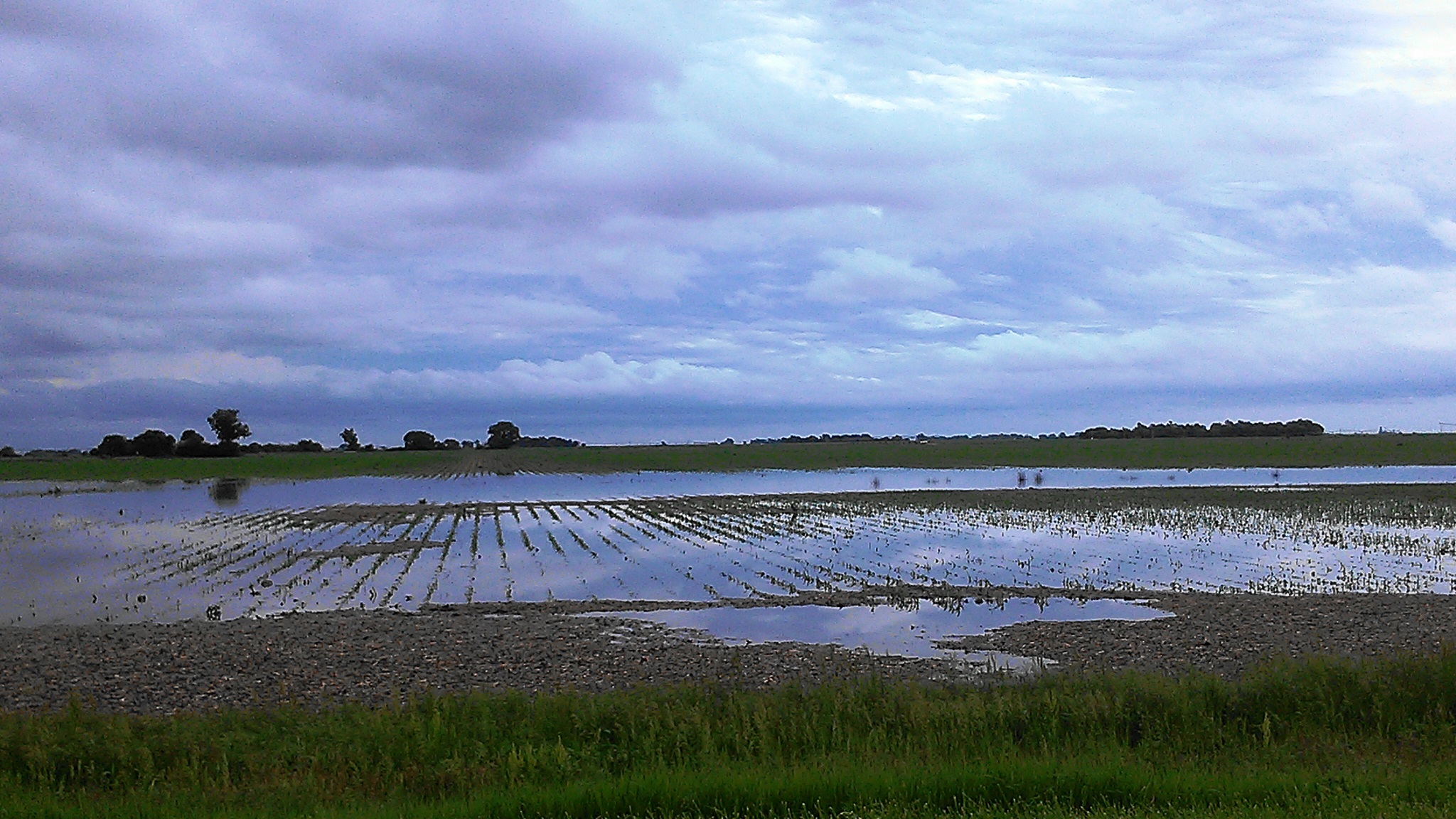 The evening of June 3rd resulted in various rainfall totals throughout the county and hail damage to an estimated 30% of the County.  This photo is of the west fork of the Upper Big Blue River that was flooding many fields along Hwy 6 between Hwy 14 and Sutton.